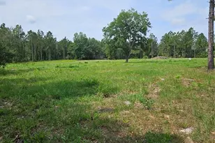 Geneva Woods Cove, Geneva, FL 32732 - Photo 1
