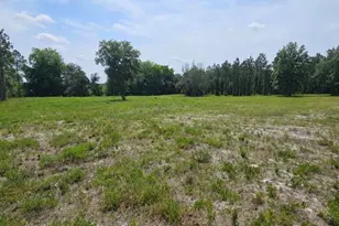 Geneva Woods Cove, Geneva, FL 32732 - Photo 3