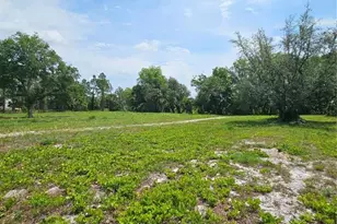 Geneva Woods Cove, Geneva, FL 32732 - Photo 7