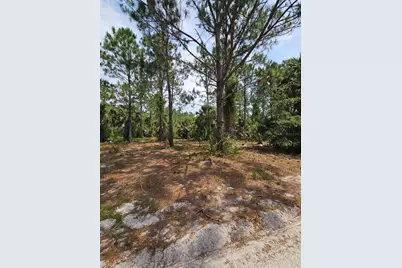 Geneva Woods Cove, Geneva, FL 32732 - Photo 11