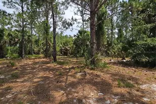 Geneva Woods Cove, Geneva, FL 32732 - Photo 11