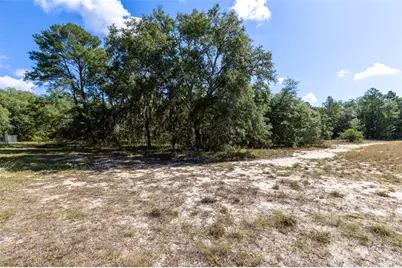 Mor Tay Trail, Kissimmee, FL 34747 - Photo 15