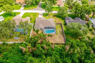 10126 Silver Bluff Dr, Leesburg, FL 34788 - Photo 35