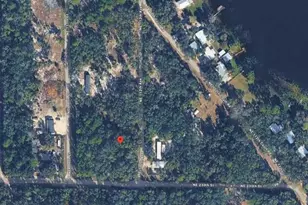 N Situs, Fort Mc Coy, FL 32134 - Photo 1