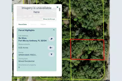 No Situs, Fort Mc Coy, FL 32134 - Photo 1