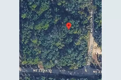 No Situs, Fort Mc Coy, FL 32134 - Photo 3