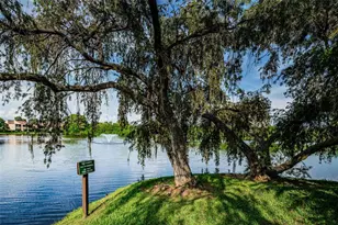 781 Village Lake Terrace N, Saint Petersburg, FL 33716 - Photo 49