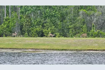 17988 Passionflower Circle, Clermont, FL 34714 - Photo 65