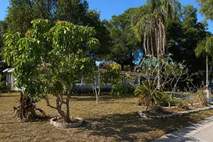 8618 Grandview Dr, Tampa, FL 33617 - Photo 27