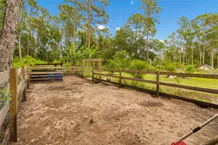 1925 Mustang Ct, Saint Cloud, FL 34771 - Photo 57
