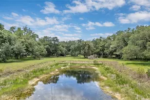 5012 W C 476, Bushnell, FL 33513 - Photo 43
