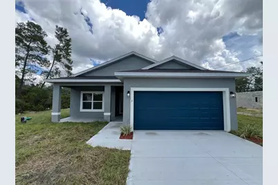 3 Fisher Place Drive, Ocklawaha, FL 32179 - Photo 1