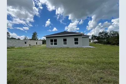 3 Fisher Place Drive, Ocklawaha, FL 32179 - Photo 15