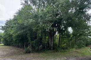 1249 Sable Palm Dr, Christmas, FL 32709 - Photo 1