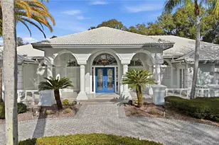 466 Tall Oak Trail, Tarpon Springs, FL 34688 - Photo 65
