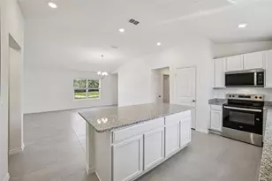 20404 Lavender Bloom Loop, Mount Dora, FL 32757 - Photo 7