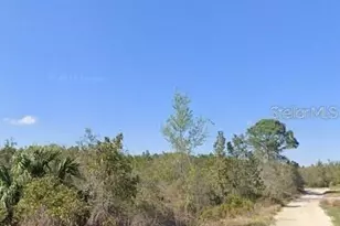 Steward Rd, Eustis, FL 32726 - Photo 1