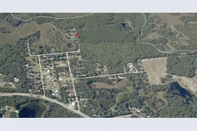 Steward Road, Eustis, FL 32726 - Photo 9