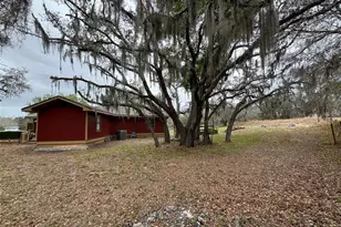 18001 Phil C Peters Rd, Winter Garden, FL 34787 - Photo 13