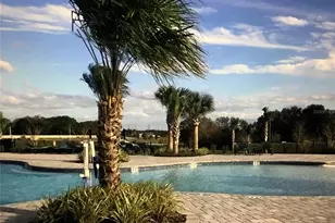 569 Disa Dr, Davenport, FL 33837 - Photo 13