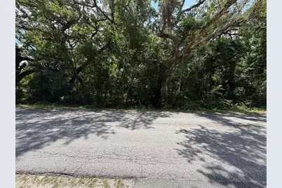 0 Cr 656, Webster, FL 33597 - Photo 3