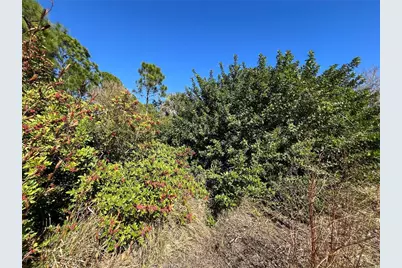 Taplin Ave, North Port, FL 34291 - Photo 19
