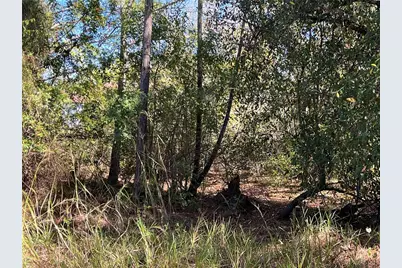 Taplin Ave, North Port, FL 34291 - Photo 17