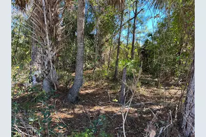 Taplin Ave, North Port, FL 34291 - Photo 7