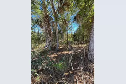Taplin Ave, North Port, FL 34291 - Photo 11