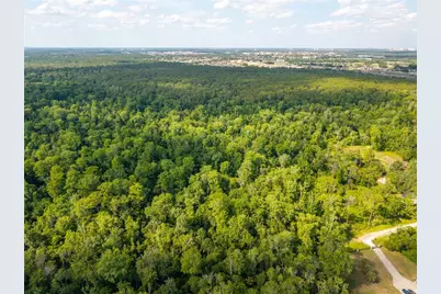 Choctaw Trail, Kissimmee, FL 34747 - Photo 19