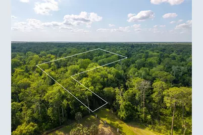 Choctaw Trail, Kissimmee, FL 34747 - Photo 5