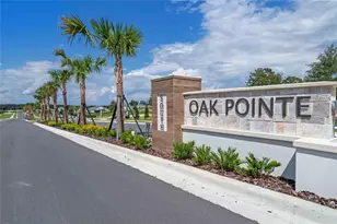 3571 Wye Oak Dr, Apopka, FL 32703 - Photo 17