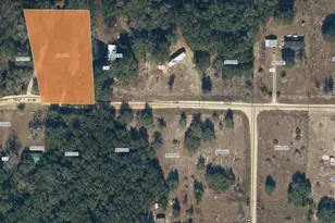 311 Chesser Monroe Rd, Hawthorne, FL 32640 - Photo 9