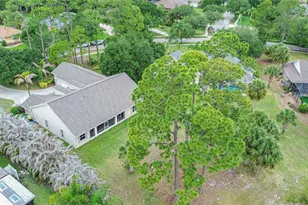 255 Brightwater Dr SE, Palm Bay, FL 32909 - Photo 57