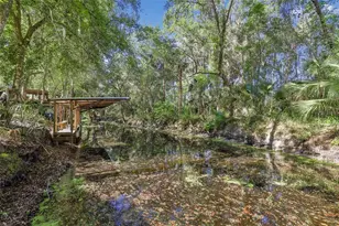18930 NE 143rd Ave, Fort Mc Coy, FL 32134 - Photo 31