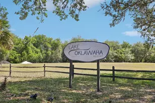 18930 NE 143rd Ave, Fort Mc Coy, FL 32134 - Photo 27