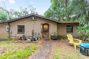 13395 SE 106th Ave, Ocklawaha, FL 32179 - Photo 3
