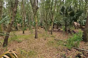 601 Howard Ave, Oviedo, FL 32765 - Photo 1