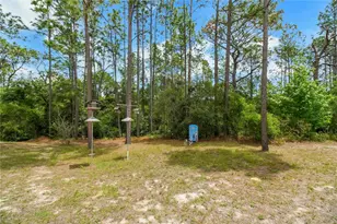 20831 SW 59th Ln, Dunnellon, FL 34431 - Photo 87