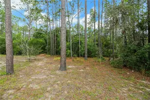 20831 SW 59th Ln, Dunnellon, FL 34431 - Photo 97