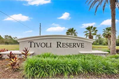 1033 Augustus Drive, Davenport, FL 33896 - Photo 19