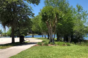 10716 Dawson Lily Way, Orlando, FL 32832 - Photo 41