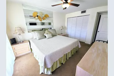 106 1st Street E #215, Saint Petersburg, FL 33715 - Photo 31