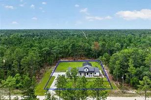 12552 SW 78th Pl, Dunnellon, FL 34432 - Photo 3