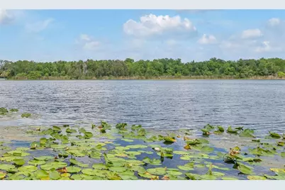 1841 Lake Spier Drive, Winter Park, FL 32789 - Photo 27