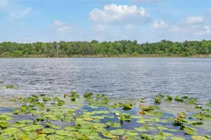 1841 Lake Spier Dr, Winter Park, FL 32789 - Photo 27