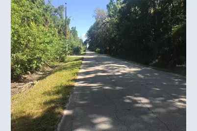 Elizabeth Street, New Smyrna Beach, FL 32168 - Photo 1