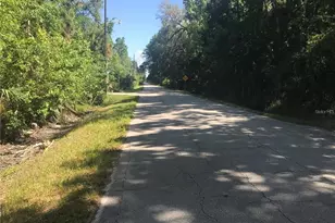 Elizabeth St, New Smyrna Beach, FL 32168 - Photo 1