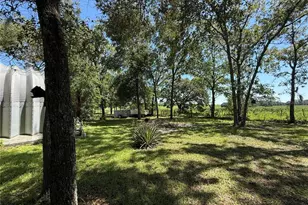 6555 SW 165th Ct, Ocala, FL 34481 - Photo 31