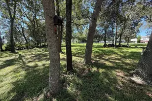 6555 SW 165th Ct, Ocala, FL 34481 - Photo 39
